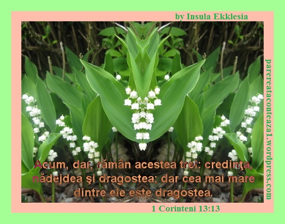 muguet-lily_of_the_valley